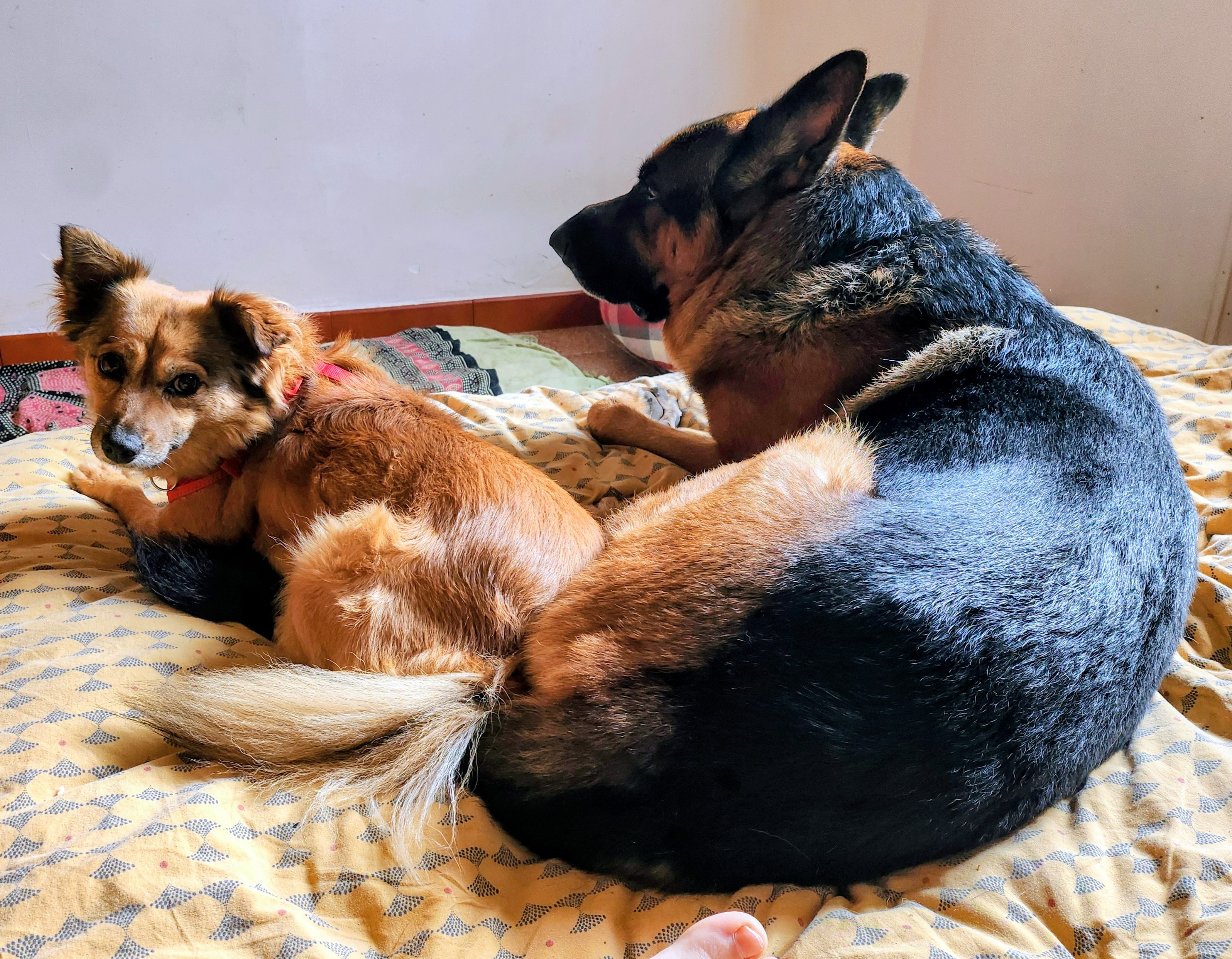 Maya e Raùl