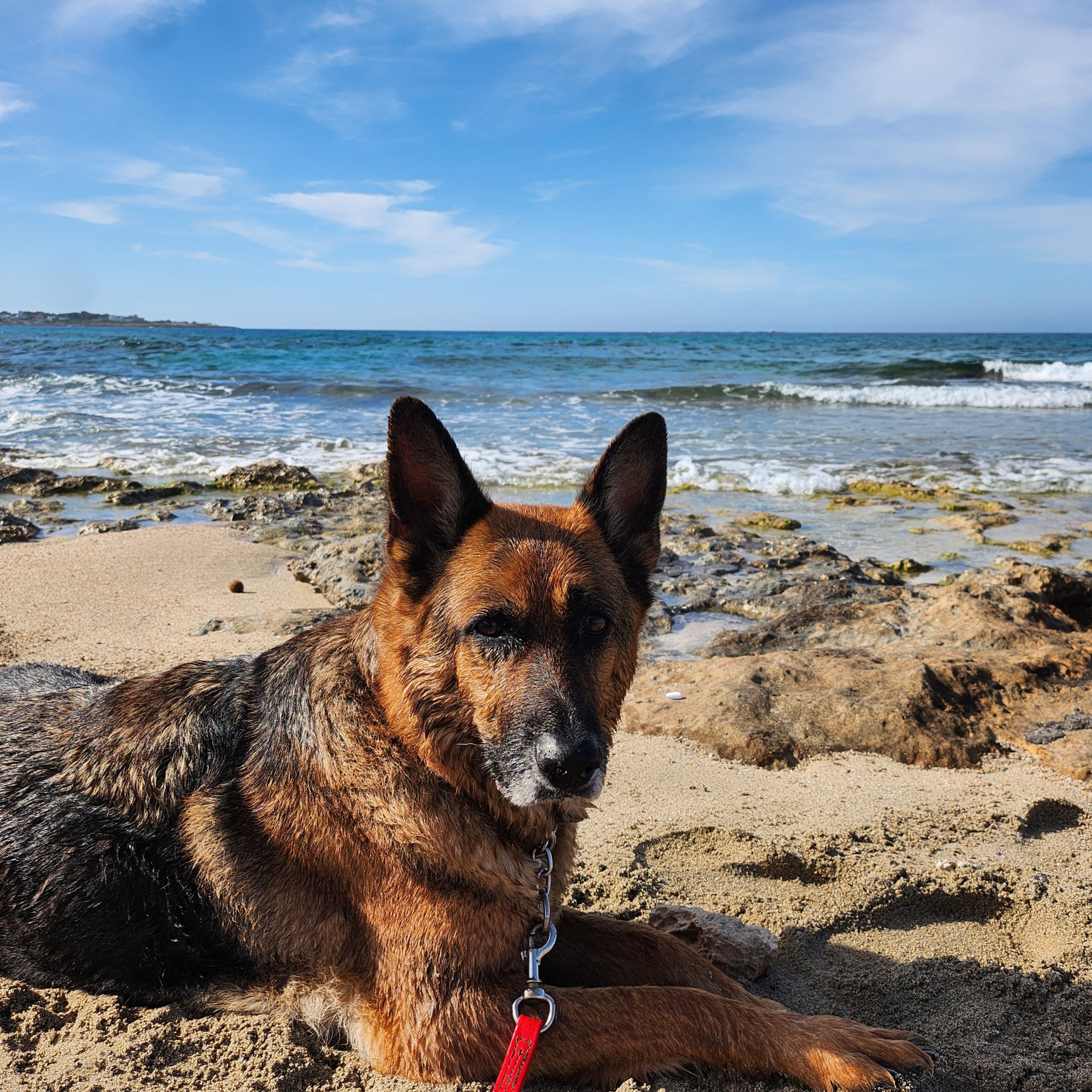 Nikita sulla spiaggia a Mancaversa